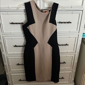 BCBGMaxAzria Black and Tan Mini Dress